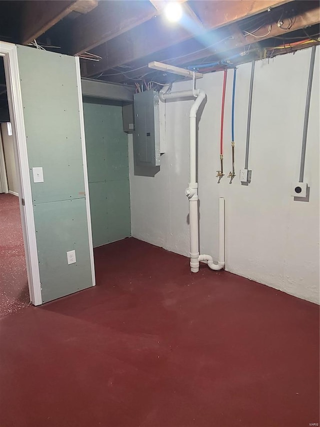 basement with electric panel