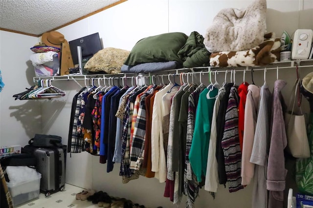 view of spacious closet