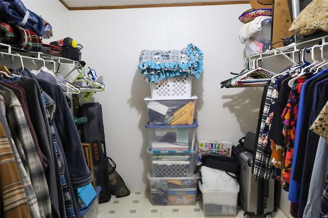 view of spacious closet