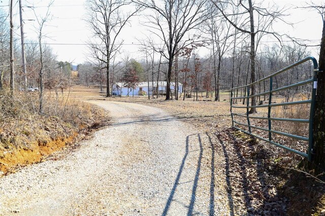 view of street featuring gravel driveway and a gated entry