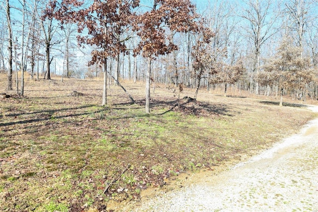 view of yard featuring driveway