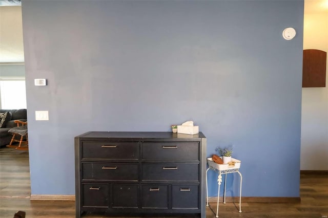 interior details with baseboards and wood finished floors