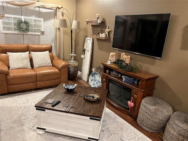 living room featuring wood-type flooring