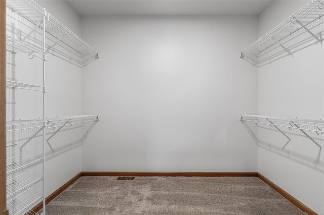 walk in closet with carpet floors