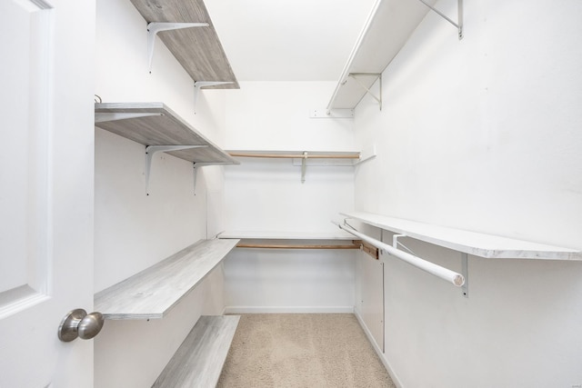 spacious closet with carpet floors