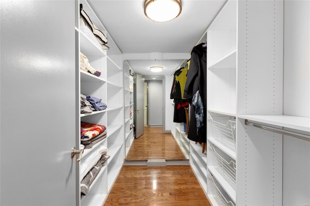 spacious closet featuring hardwood / wood-style flooring