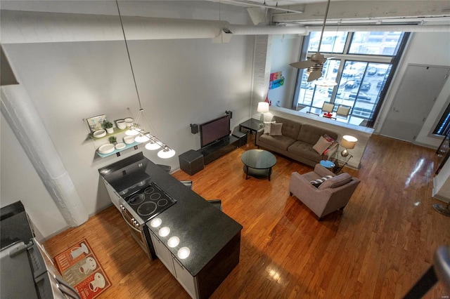 living room with hardwood / wood-style floors