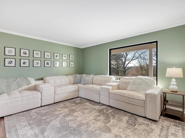 living room featuring ornamental molding