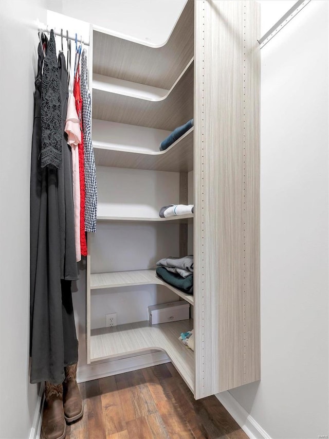 spacious closet featuring wood-type flooring