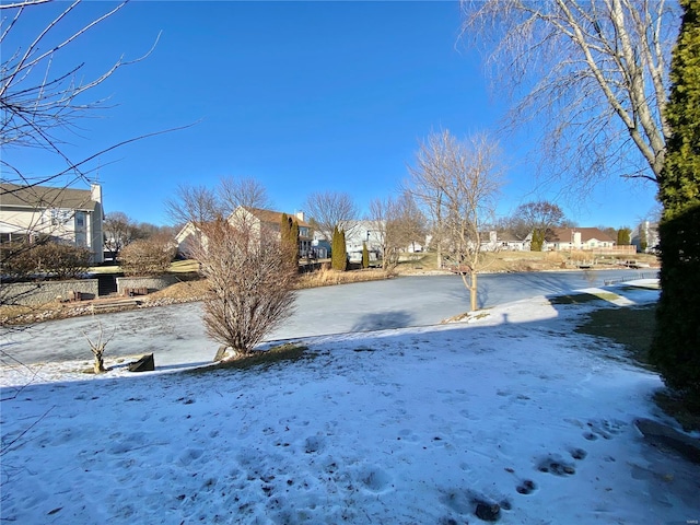 view of yard covered in snow