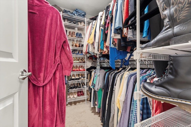 spacious closet with carpet