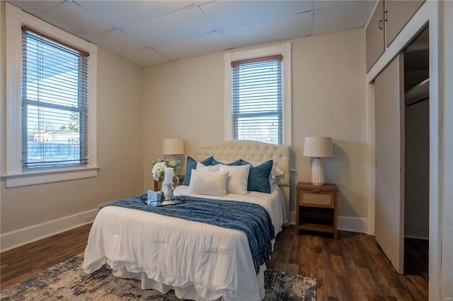 bedroom featuring multiple windows, a paneled ceiling, and dark hardwood / wood-style floors