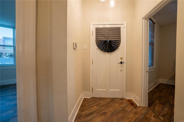 foyer entrance featuring dark wood-type flooring