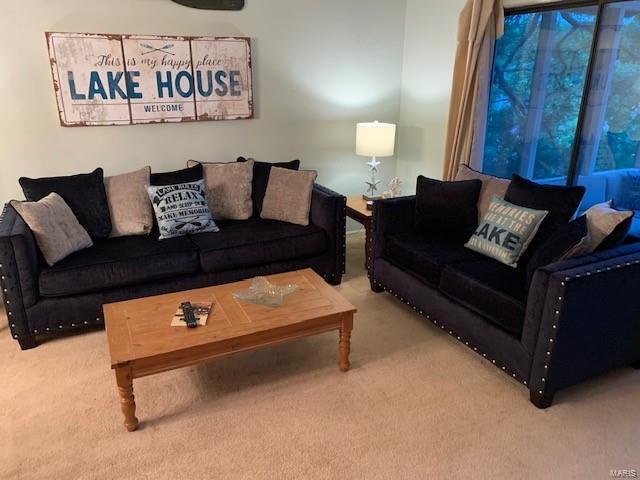 living room with carpet