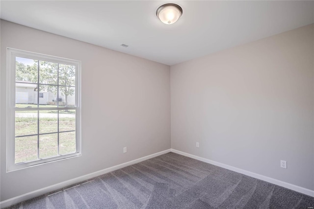 empty room featuring carpet flooring and a wealth of natural light