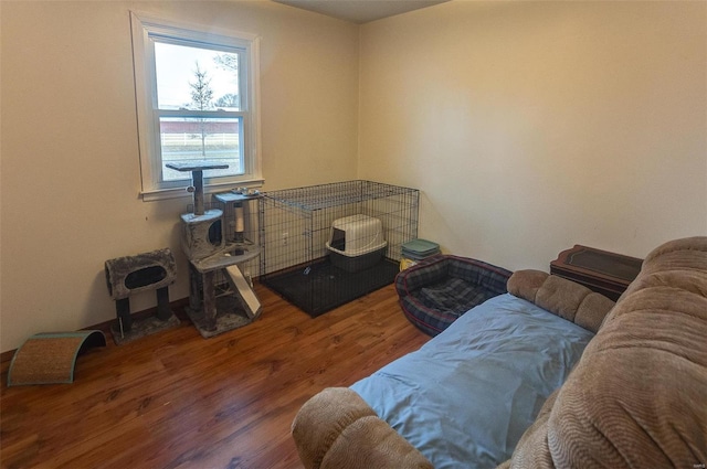 living room with wood-type flooring