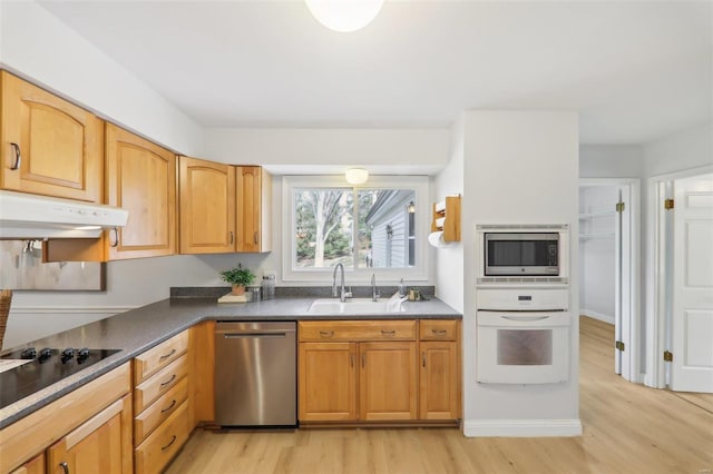 kitchen featuring sink, light hardwood / wood-style flooring, and appliances with stainless steel finishes