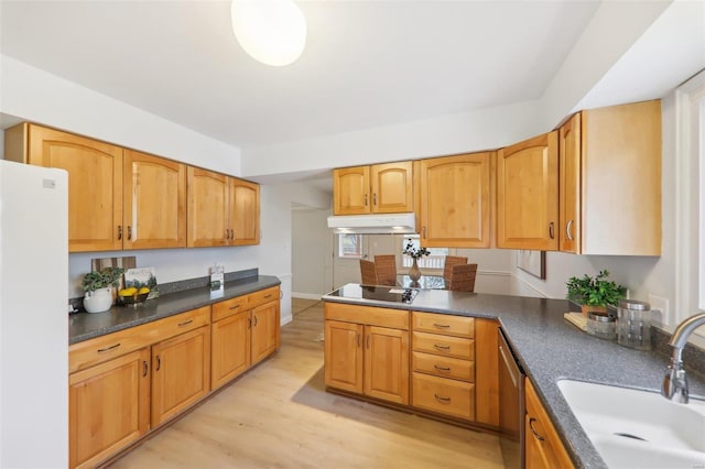 kitchen with sink, white refrigerator, stainless steel dishwasher, black electric stovetop, and light hardwood / wood-style flooring