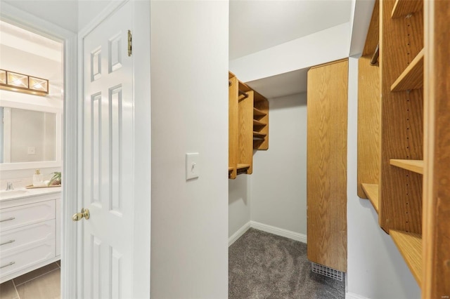 spacious closet with sink and dark carpet