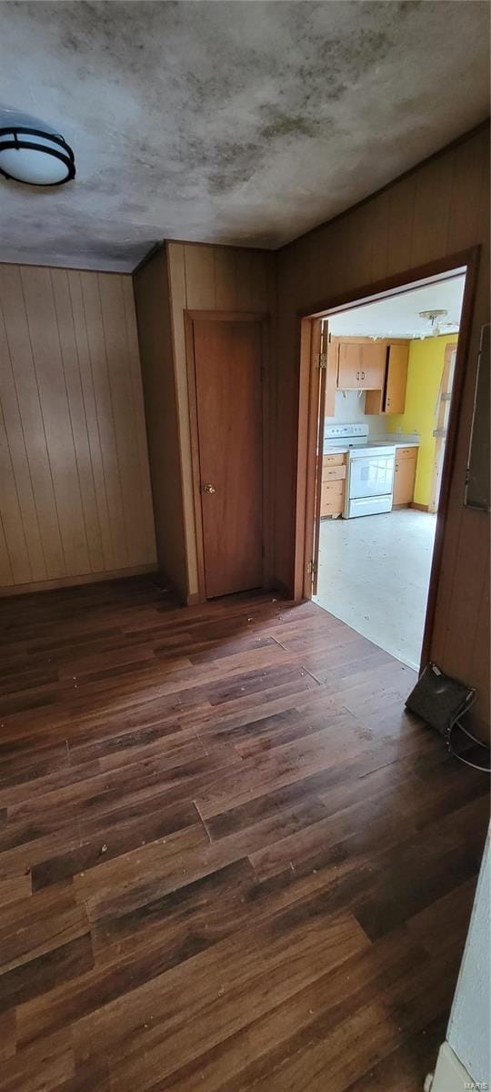 hall featuring dark hardwood / wood-style flooring and wood walls