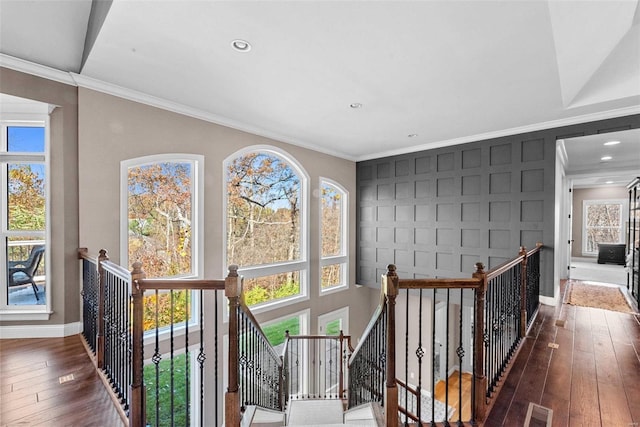 corridor with dark hardwood / wood-style flooring and crown molding