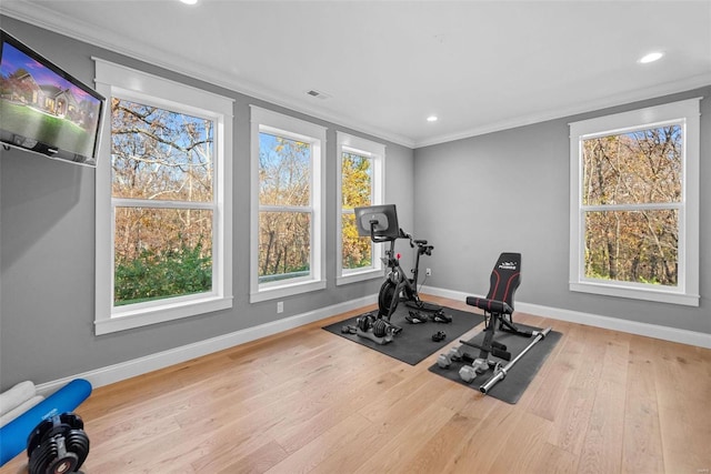 exercise room featuring crown molding, wood-type flooring, and a wealth of natural light