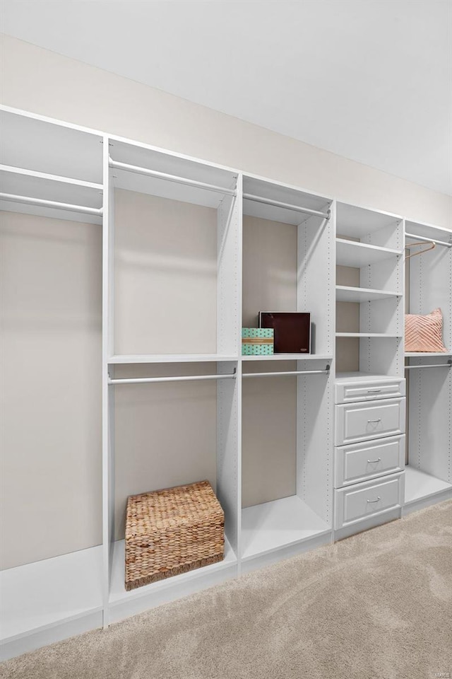 walk in closet with carpet flooring