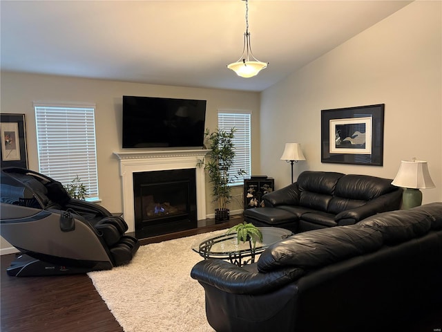 living room with hardwood / wood-style flooring and lofted ceiling