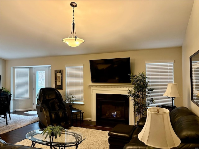 living room featuring dark hardwood / wood-style floors