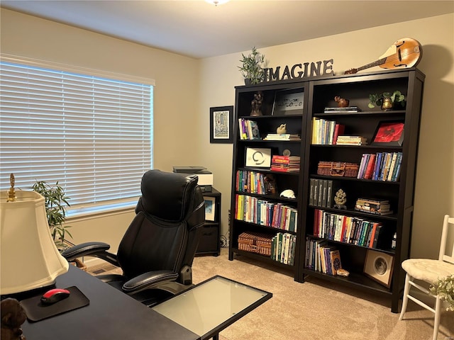 office space featuring light colored carpet