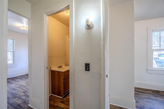 bathroom with sink and hardwood / wood-style floors