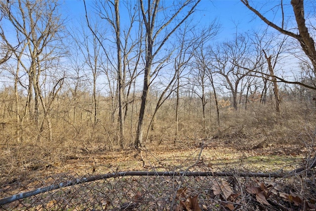 view of local wilderness