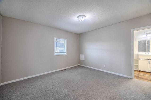 empty room featuring sink, carpet floors, and a textured ceiling