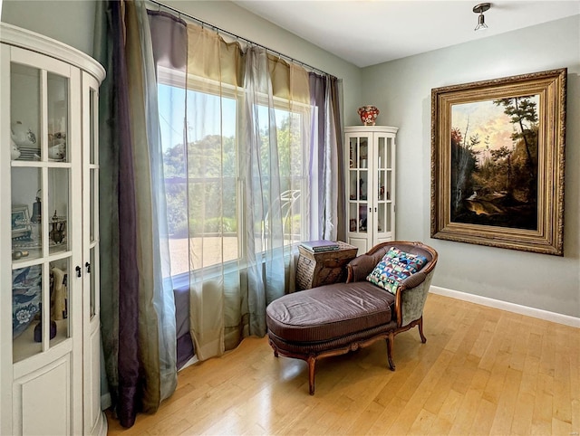 sitting room featuring light hardwood / wood-style floors