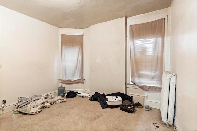 interior space with radiator and carpet flooring