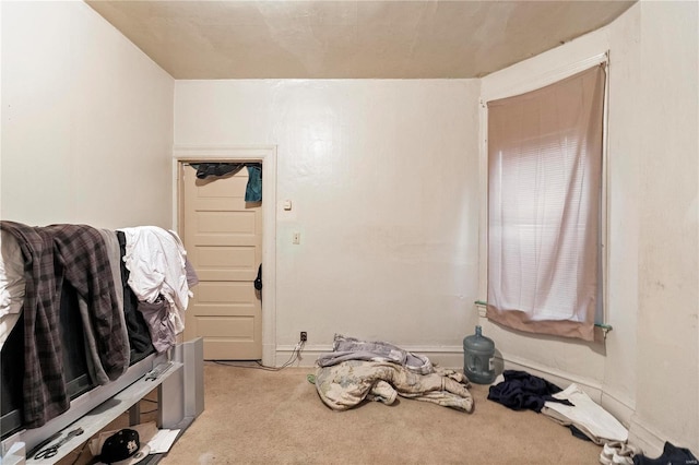 bedroom featuring light colored carpet