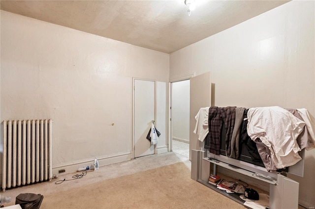 miscellaneous room featuring light carpet and radiator heating unit