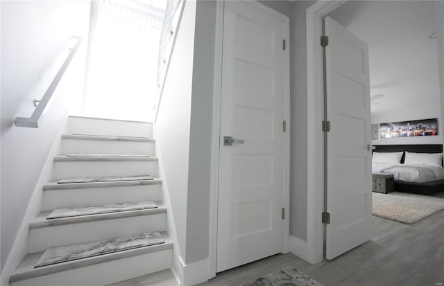 staircase with hardwood / wood-style flooring