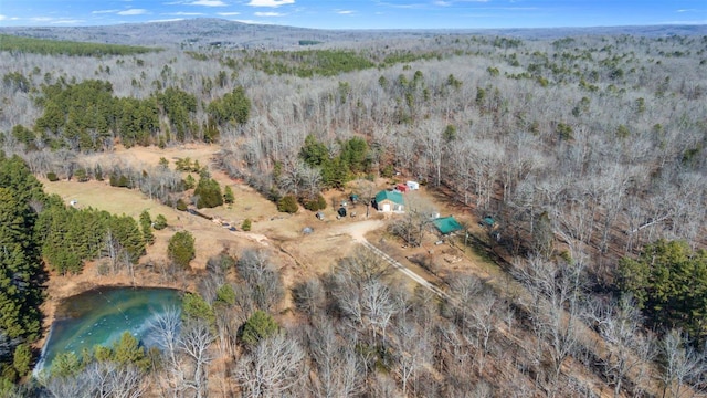 bird's eye view featuring a water and mountain view