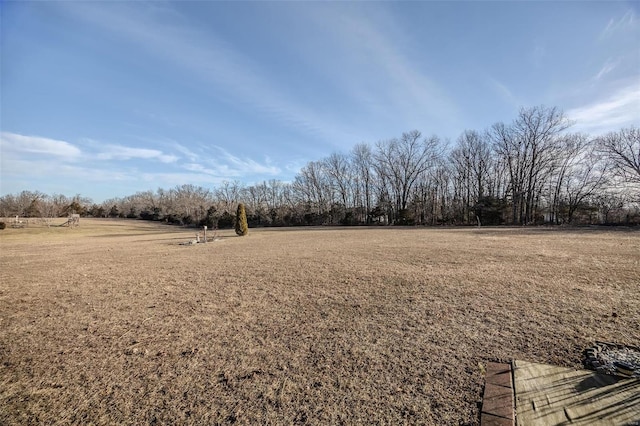 view of yard with a rural view