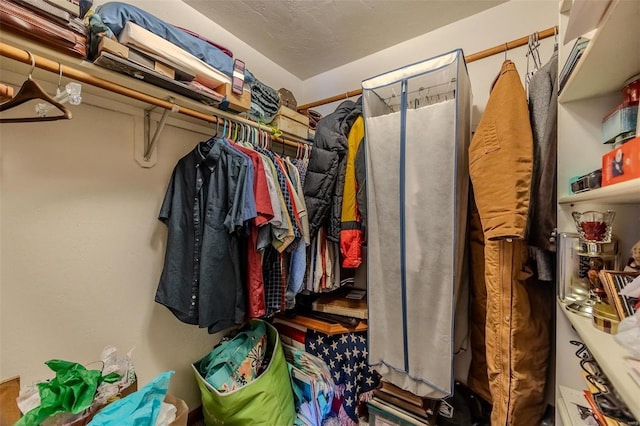 view of spacious closet