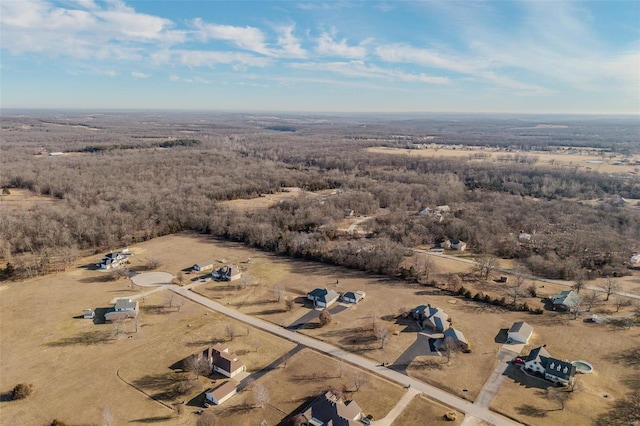 bird's eye view