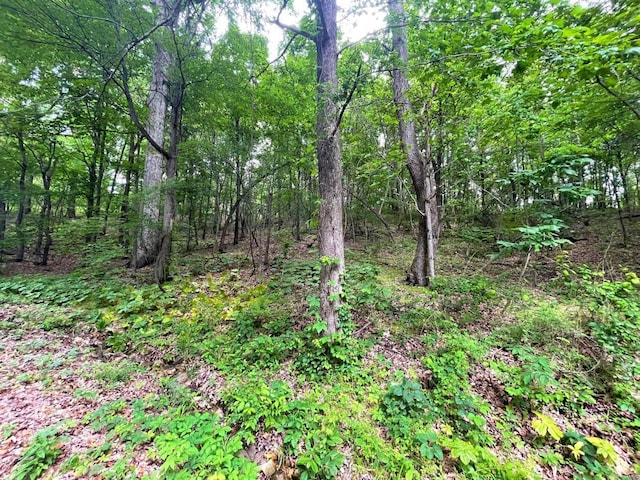 Listing photo 3 for 0 Chalk Bluff Trl Unit 13-17, Dexter MO 63841