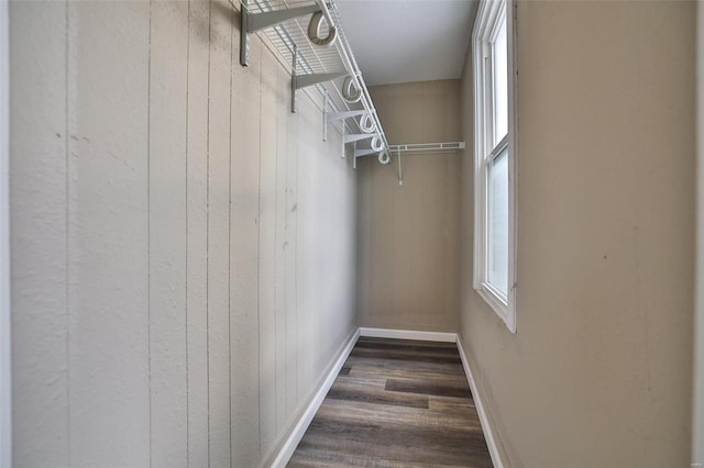 walk in closet featuring dark hardwood / wood-style flooring