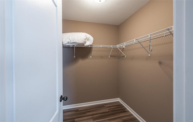 spacious closet with dark hardwood / wood-style floors