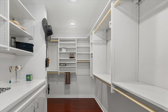 walk in closet with dark wood finished floors