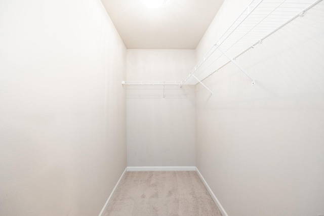 walk in closet with light carpet