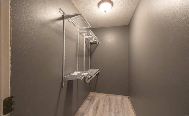 spacious closet featuring wood-type flooring