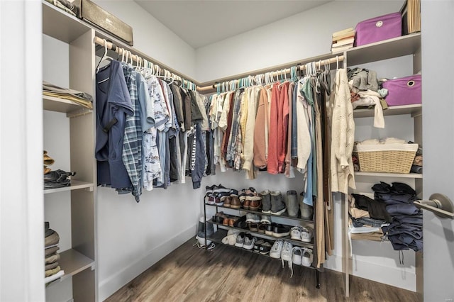 walk in closet featuring wood finished floors