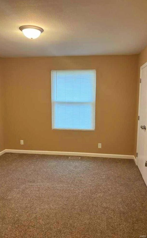 empty room featuring carpet